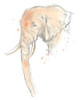 Blush Savannah I Poster Print - June Erica Vess