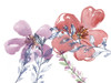 Spring Glory II Poster Print - Melissa Wang
