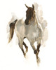 Rustic Horse I Poster Print - Ethan Harper