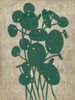 Vintage Greenery IV Poster Print - Chariklia Zarris