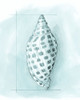 Coastal Shell Schematic IV Poster Print - Megan Meagher