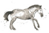 Equine Impressions I Poster Print - June Erica Vess