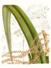 Palm Melange VIII Poster Print - Curtis