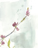 First Blooms III Poster Print - Jennifer Goldberger