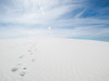 White Dunes I Poster Print - Sonja Quintero