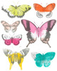 Chromatic Butterflies II Poster Print - June Erica Vess