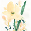 Garden Essence II Poster Print - June Erica Vess
