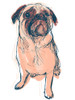 Dog Portrait--Dave Poster Print - June Erica Vess