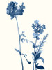Indigo Wildflowers V Poster Print - Jennifer Goldberger