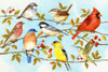 Birds and Berries V Poster Print - Jane Maday