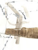 Umber Connection II Poster Print - Jennifer Goldberger