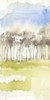 Split Treeline I Poster Print - Jennifer Goldberger