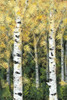 Birch Treeline I Poster Print - Jade Reynolds