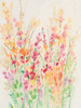 Brilliant Floral I Poster Print - Tim OToole