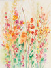 Brilliant Floral II Poster Print - Tim OToole