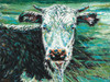 Marshland Cow I Poster Print - Carolee Vitaletti