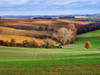 Pastoral Countryside XVII Poster Print - Colby Chester