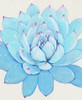Pastel Succulent II Poster Print - Tim OToole