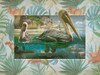 Pelican Paradise V Poster Print - Steve Hunziker