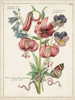 Botanical Bouquet III Poster Print - Unknown