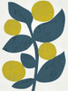 Branch II Poster Print - Chariklia Zarris
