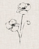 Floral Ink Study III Poster Print - Ethan Harper
