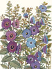 Hollyhocks in Bloom I Poster Print - Tim OToole