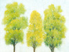 Spring Eternal II Poster Print - Tim OToole