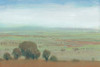 Beautiful Day II Poster Print - Tim OToole