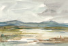 Overcast Wetland I Poster Print - Ethan Harper