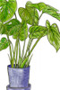 Potted Jungle III Poster Print - Melissa Wang