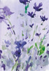 Violet Garden Moment II Poster Print - Samuel Dixon
