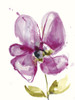 Violet Petals II Poster Print - Jennifer Goldberger