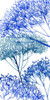Little Sapling II Poster Print - Melissa Wang