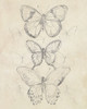 Vintage Butterfly Sketch I Poster Print - June Erica Vess