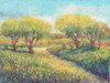 Garden Path II Poster Print - Tim OToole