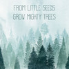 Little Grower I Poster Print - Grace Popp