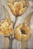 Ochre and Grey Tulips I Poster Print - Tim OToole