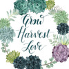 Plant Happiness II Poster Print - Grace Popp