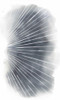 Rays II Poster Print - Grace Popp