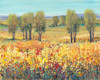 Golden Fields I Poster Print - Tim OToole