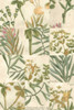Garden Grid II Poster Print - Johann Weinmann