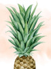 Pineapple on Coral II Poster Print - Grace Popp