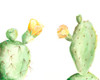 Spiny Desert Plants I Poster Print - Regina Moore