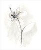Neutral Floral Gesture IX Poster Print - June Erica Vess