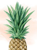 Pineapple on Coral I Poster Print - Grace Popp