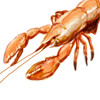 Illustrated Lobster I Poster Print - Rick Novak