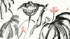 Lotus Study with Coral I Poster Print - Nan Rae