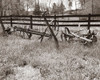 Sepia Farm Study IV Poster Print - Alicia Ludwig
