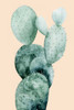 Cactus on Coral I Poster Print - Grace Popp